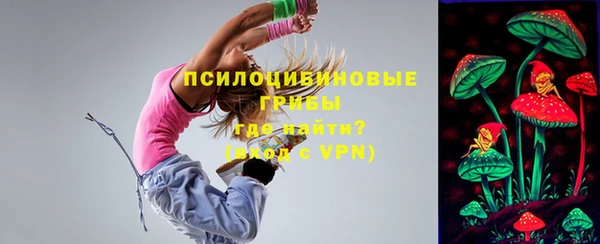 apvp Алексеевка