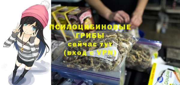 apvp Алексеевка