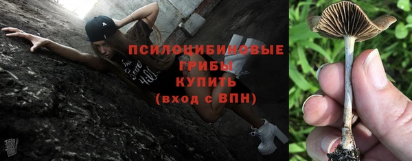 apvp Алексеевка