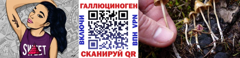 Псилоцибиновые грибы Magic Shrooms  где продают   Лагань 
